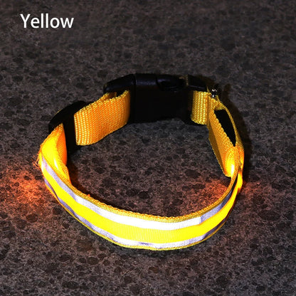 Reflective & Rechargeable Pet Collar