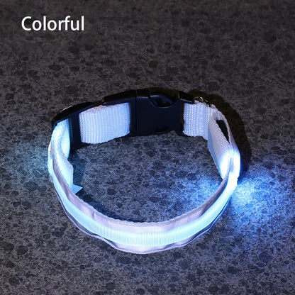Reflective & Rechargeable Pet Collar