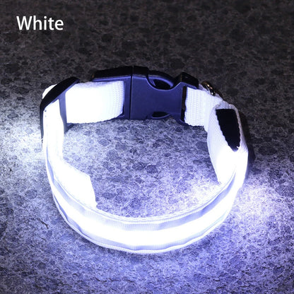 Reflective & Rechargeable Pet Collar