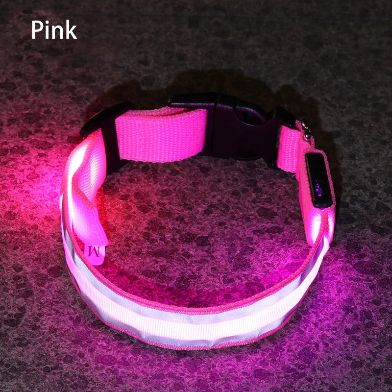 Reflective & Rechargeable Pet Collar