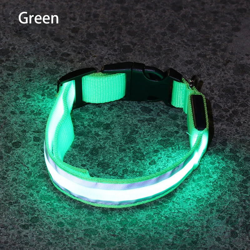 Reflective & Rechargeable Pet Collar