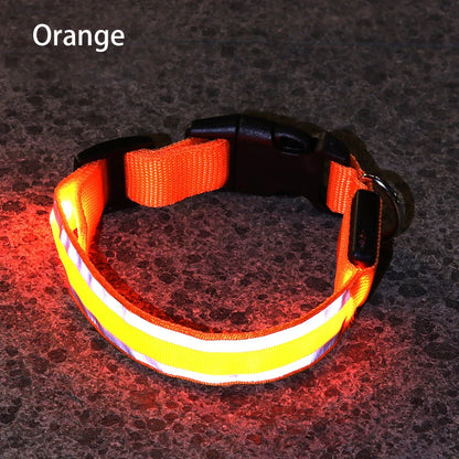 Reflective & Rechargeable Pet Collar