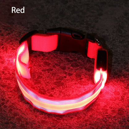 Reflective & Rechargeable Pet Collar
